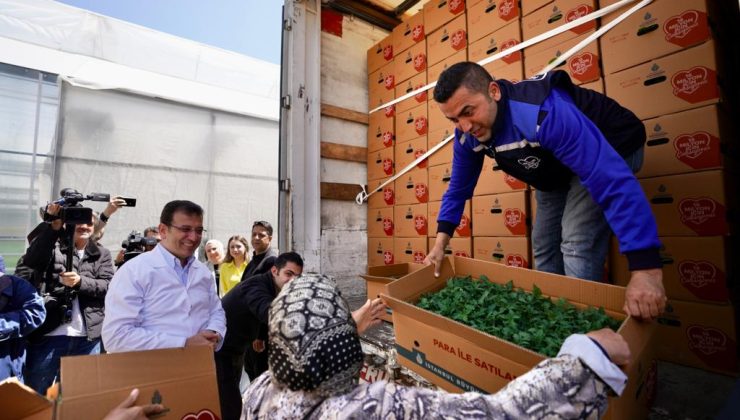 Kemerburgaz’da üretilen fideler İstanbullu çiftçilerle buluşuyor