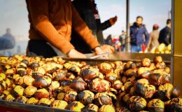 İstanbul’un Sokak Lezzetleri